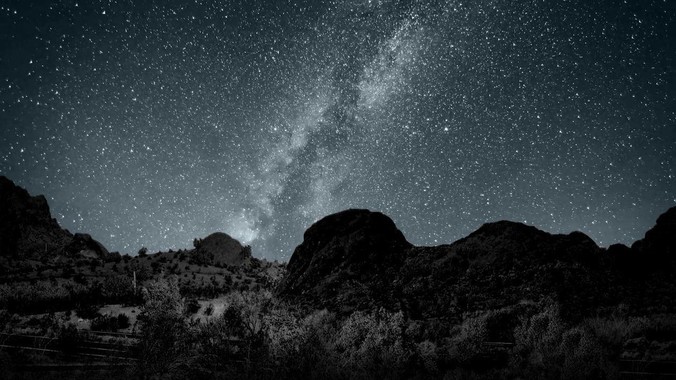 乡下的土鸡真的值100块钱吗？